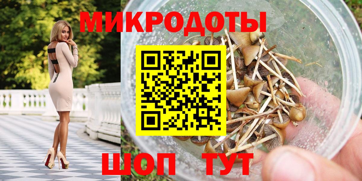 Галлюциногенные грибы мицелий Лесной